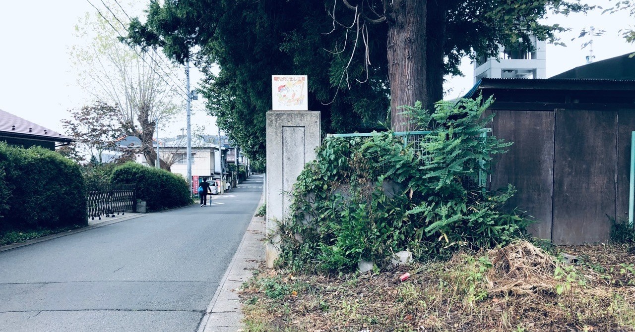 本と雨、道と紳士。