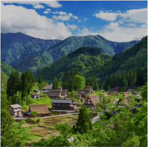 地域活性